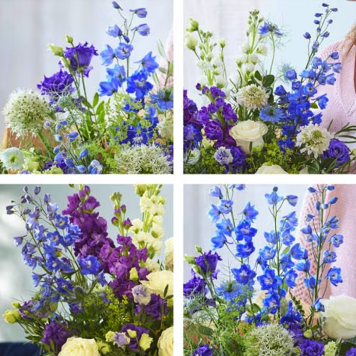 ‘The Flower Shop Helensburgh - Delphiniums-and-Blooming-Blues’
